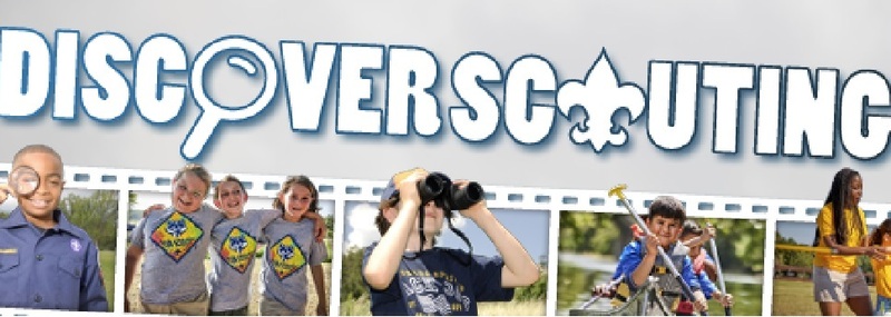 Discover Scouting